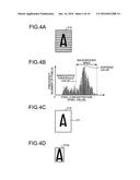 CHARACTER RECOGNITION METHOD AND CHARACTER RECOGNITION SYSTEM diagram and image