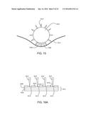 DENDRITIC STRUCTURES AND TAGS diagram and image