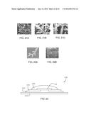 DENDRITIC STRUCTURES AND TAGS diagram and image