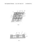 ORGANIC ELECTROLUMINESCENT DISPLAY PANEL diagram and image