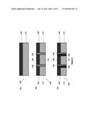 A MONOLITHICALLY INTEGRATED SOLAR CELL SYSTEM diagram and image