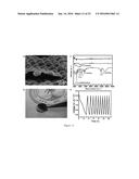 INTERFACIAL ENGINEERING FOR STABLE LITHIUM METAL ANODES diagram and image