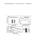 INTERFACIAL ENGINEERING FOR STABLE LITHIUM METAL ANODES diagram and image