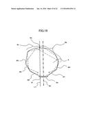 LIGHT GUIDE AND IMAGE READING APPARATUS diagram and image