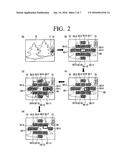 PHOTOGRAPHING APPARATUS FOR PHOTOGRAPHING PANORAMIC IMAGE AND METHOD     THEREOF diagram and image