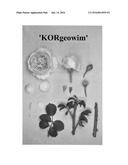 Shrub rose plant named  KORgeowim  diagram and image