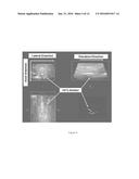 REAL TIME THREE-DIMENSIONAL HEAT-INDUCED ECHO-STRAIN IMAGING FOR     MONITORING HIGH-INTENSITY ACOUSTIC ABLATION PRODUCED BY CONFORMAL     INTERSTITIAL AND EXTERNAL DIRECTIONAL ULTRASOUND THERAPY APPLICATORS diagram and image