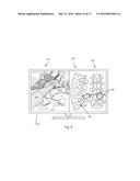 SURGICAL TISSUE RECOGNITION AND NAVIGATION APPARATUS AND METHOD diagram and image