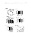 METHODS OF CONTROLLING TUMOR BIOENERGETICS NETWORKS diagram and image