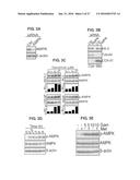 METHODS OF CONTROLLING TUMOR BIOENERGETICS NETWORKS diagram and image