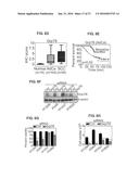 METHODS OF CONTROLLING TUMOR BIOENERGETICS NETWORKS diagram and image