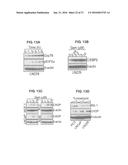 METHODS OF CONTROLLING TUMOR BIOENERGETICS NETWORKS diagram and image