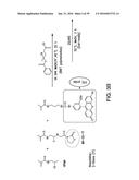 COMPOSITIONS AND METHODS FOR INDUCING APOPTOSIS diagram and image