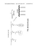 COMPOSITIONS AND METHODS FOR INDUCING APOPTOSIS diagram and image