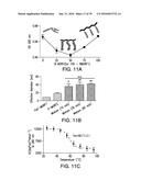 COMPOSITIONS AND METHODS FOR INDUCING APOPTOSIS diagram and image