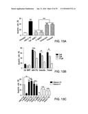 COMPOSITIONS AND METHODS FOR INDUCING APOPTOSIS diagram and image