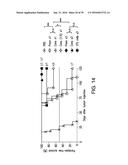 COMPOSITIONS AND METHODS FOR INDUCING APOPTOSIS diagram and image