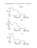 COMPOSITIONS AND METHODS FOR INDUCING APOPTOSIS diagram and image