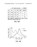 COMPOSITIONS AND METHODS FOR INDUCING APOPTOSIS diagram and image