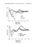 COMPOSITIONS AND METHODS FOR INDUCING APOPTOSIS diagram and image