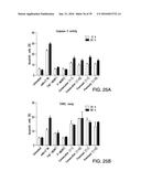 COMPOSITIONS AND METHODS FOR INDUCING APOPTOSIS diagram and image