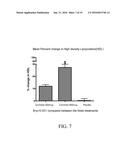 CHROMIUM-CONTAINING COMPOSITIONS FOR IMPROVING ENDOTHELIAL FUNCTION AND     CARDIOVASCULAR HEALTH diagram and image