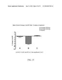 CHROMIUM-CONTAINING COMPOSITIONS FOR IMPROVING ENDOTHELIAL FUNCTION AND     CARDIOVASCULAR HEALTH diagram and image