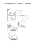 COMPOSITIONS AND METHODS FOR TREATING AN IMMUNODEFICIENCY VIRUS INFECTION diagram and image