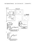 COMPOSITIONS AND METHODS FOR TREATING AN IMMUNODEFICIENCY VIRUS INFECTION diagram and image