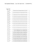 COMPOSITIONS AND METHODS FOR TREATING AN IMMUNODEFICIENCY VIRUS INFECTION diagram and image