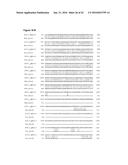 COMPOSITIONS AND METHODS FOR TREATING AN IMMUNODEFICIENCY VIRUS INFECTION diagram and image