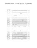 COMPOSITIONS AND METHODS FOR TREATING AN IMMUNODEFICIENCY VIRUS INFECTION diagram and image