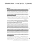 COMPOSITIONS AND METHODS FOR TREATING AN IMMUNODEFICIENCY VIRUS INFECTION diagram and image