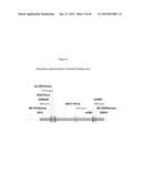 RECOMBINANT GALLID HERPESVIRUS 3 (MDV SEROTYPE 2) VECTORS EXPRESSING     ANTIGENS OF AVIAN PATHOGENS AND USES THEREOF diagram and image