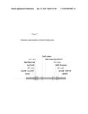 RECOMBINANT GALLID HERPESVIRUS 3 (MDV SEROTYPE 2) VECTORS EXPRESSING     ANTIGENS OF AVIAN PATHOGENS AND USES THEREOF diagram and image