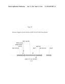 RECOMBINANT GALLID HERPESVIRUS 3 (MDV SEROTYPE 2) VECTORS EXPRESSING     ANTIGENS OF AVIAN PATHOGENS AND USES THEREOF diagram and image