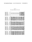 RECOMBINANT GALLID HERPESVIRUS 3 (MDV SEROTYPE 2) VECTORS EXPRESSING     ANTIGENS OF AVIAN PATHOGENS AND USES THEREOF diagram and image