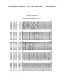 RECOMBINANT GALLID HERPESVIRUS 3 (MDV SEROTYPE 2) VECTORS EXPRESSING     ANTIGENS OF AVIAN PATHOGENS AND USES THEREOF diagram and image