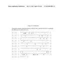 RECOMBINANT GALLID HERPESVIRUS 3 (MDV SEROTYPE 2) VECTORS EXPRESSING     ANTIGENS OF AVIAN PATHOGENS AND USES THEREOF diagram and image