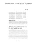 RECOMBINANT GALLID HERPESVIRUS 3 (MDV SEROTYPE 2) VECTORS EXPRESSING     ANTIGENS OF AVIAN PATHOGENS AND USES THEREOF diagram and image