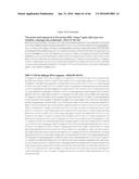 RECOMBINANT GALLID HERPESVIRUS 3 (MDV SEROTYPE 2) VECTORS EXPRESSING     ANTIGENS OF AVIAN PATHOGENS AND USES THEREOF diagram and image