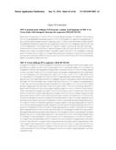 RECOMBINANT GALLID HERPESVIRUS 3 (MDV SEROTYPE 2) VECTORS EXPRESSING     ANTIGENS OF AVIAN PATHOGENS AND USES THEREOF diagram and image