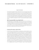 RECOMBINANT GALLID HERPESVIRUS 3 (MDV SEROTYPE 2) VECTORS EXPRESSING     ANTIGENS OF AVIAN PATHOGENS AND USES THEREOF diagram and image