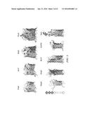 Self Assembling Beta-Barrel Proteins Position Nanotubes diagram and image