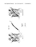 Self Assembling Beta-Barrel Proteins Position Nanotubes diagram and image