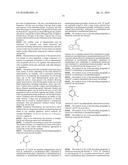 PREPARATION OF CHIRAL AMIDES AND AMINES diagram and image