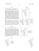 PREPARATION OF CHIRAL AMIDES AND AMINES diagram and image