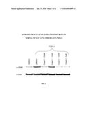 SUBSTITUTED BIARYL SULFONAMIDES AND THE USE THEREOF diagram and image