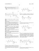 PROCESS FOR PREPARING TUBULYSINS diagram and image