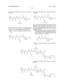 PROCESS FOR PREPARING TUBULYSINS diagram and image